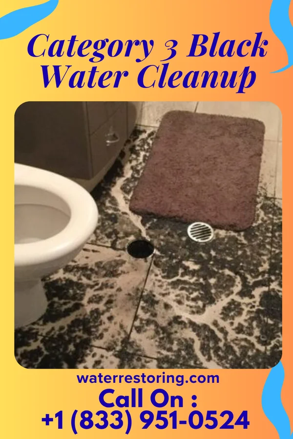 Category 3 Black Water Cleanup in Anniston, MO