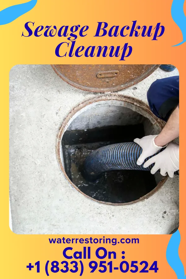 Sewage Backup Cleanup in Anniston, MO